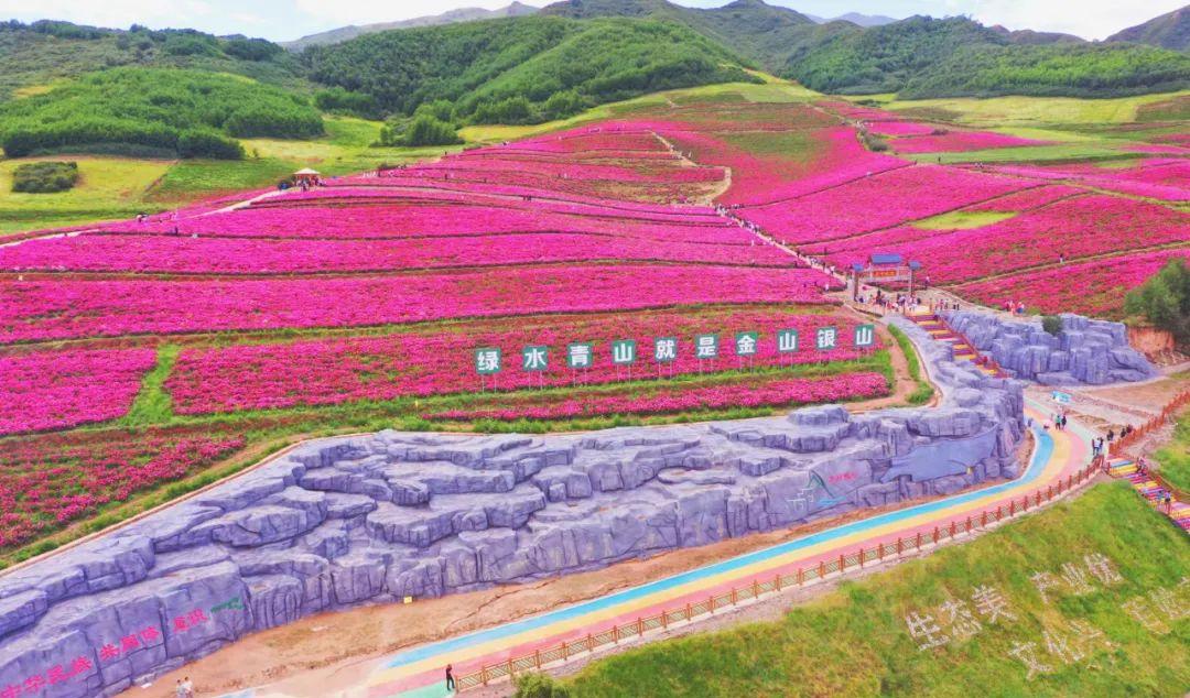 乘坐火車游新疆：領略城市繁華與鄉村寧靜交織的美景