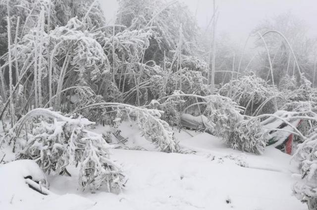 北海自駕到成都中途路過(guò)哪里_成都北海7天自駕游攻略_成都自駕游北海旅游攻略