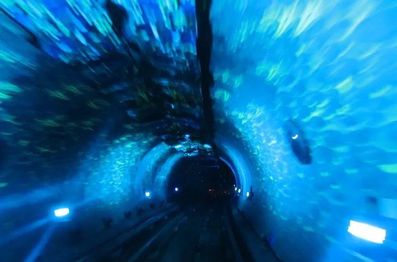 聊城濟南的火車時刻表_濟南到聊城火車停運_濟南至聊城火車