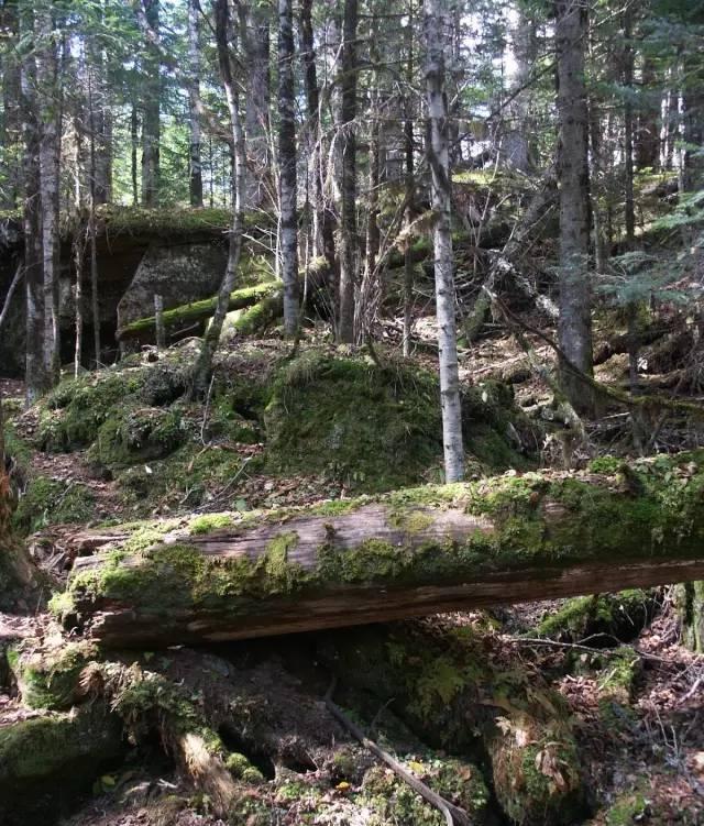 無錫天津火車_無錫天津火車_無錫天津火車時刻表