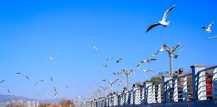 定制版納+老撾之旅,體驗(yàn)兩國風(fēng)情,行程涵蓋精華景點(diǎn),價(jià)格實(shí)惠