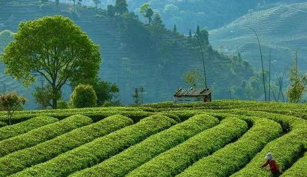 云南昆明到普洱坐火車多少錢_昆明到普洱火車_昆明到普洱火車站