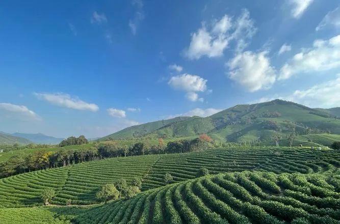 昆明到普洱火車_云南昆明到普洱坐火車多少錢_昆明到普洱火車站