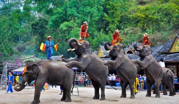 昆明到普洱火車站_云南昆明到普洱坐火車多少錢_昆明到普洱火車
