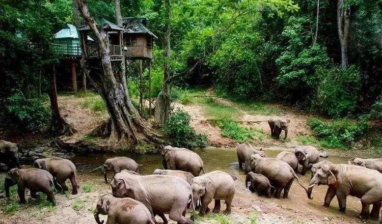昆明到普洱火車站_昆明到普洱火車_云南昆明到普洱坐火車多少錢