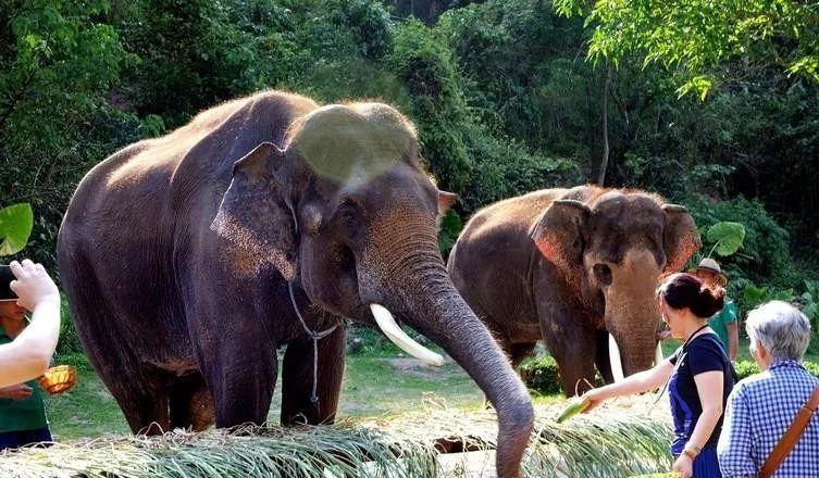 云南昆明到普洱坐火車多少錢_昆明到普洱火車_昆明到普洱火車站
