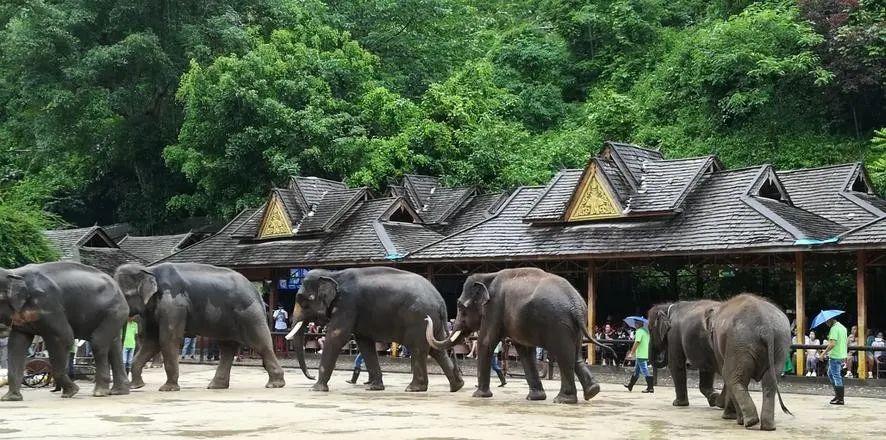 昆明到普洱火車站_云南昆明到普洱坐火車多少錢_昆明到普洱火車