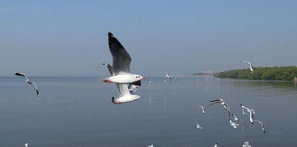 昆明到普洱火車_云南昆明到普洱坐火車多少錢_昆明到普洱火車站