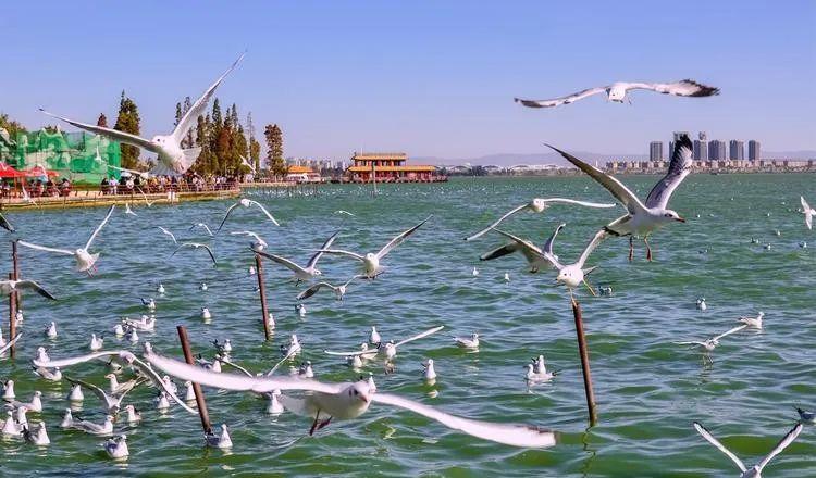 昆明到普洱火車_昆明到普洱火車站_云南昆明到普洱坐火車多少錢