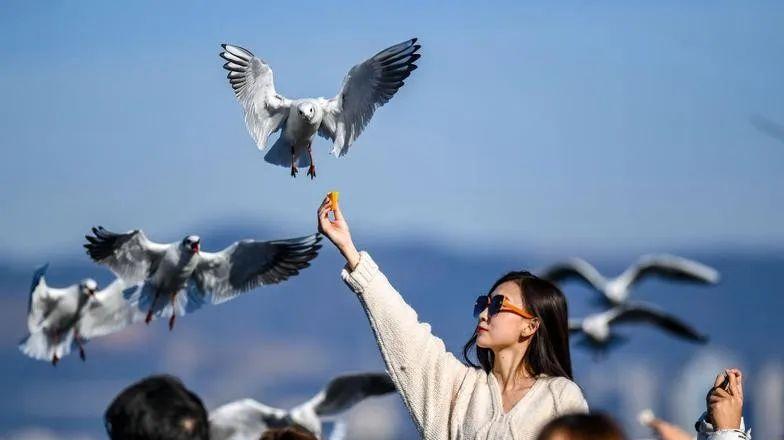 云南昆明到普洱坐火車多少錢_昆明到普洱火車_昆明到普洱火車站
