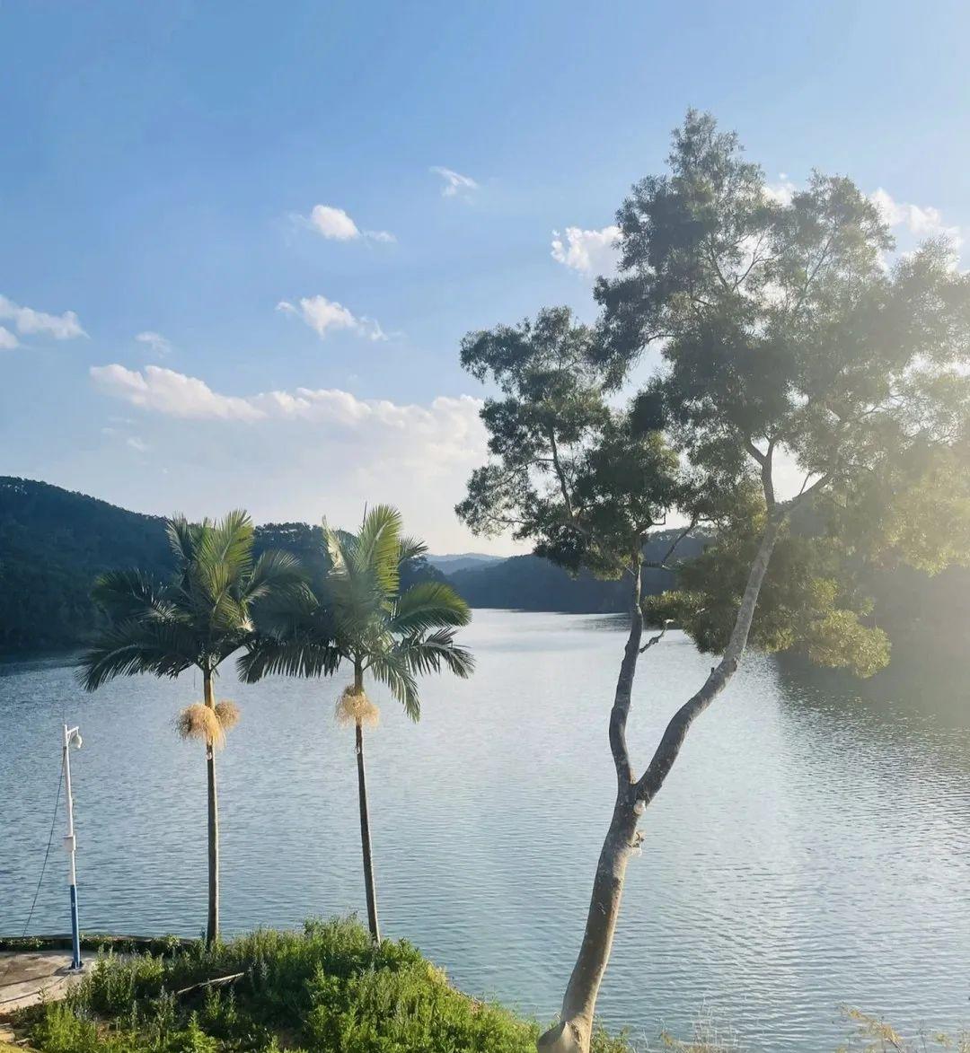 云南昆明到普洱坐火車多少錢_昆明到普洱火車_昆明到普洱有火車