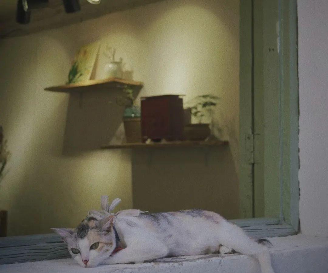 昆明到普洱有火車_昆明到普洱火車_云南昆明到普洱坐火車多少錢