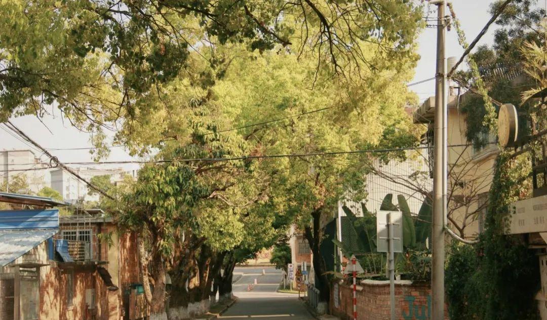 昆明到普洱火車_云南昆明到普洱坐火車多少錢_昆明到普洱有火車