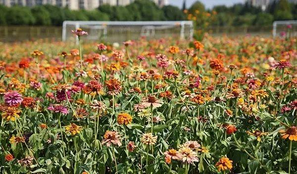 仙林火車(chē)站有去哪里的火車(chē)_仙林站營(yíng)業(yè)時(shí)間_仙林火車(chē)站