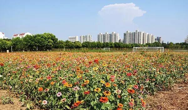 仙林站營(yíng)業(yè)時(shí)間_仙林火車(chē)站_仙林火車(chē)站有去哪里的火車(chē)