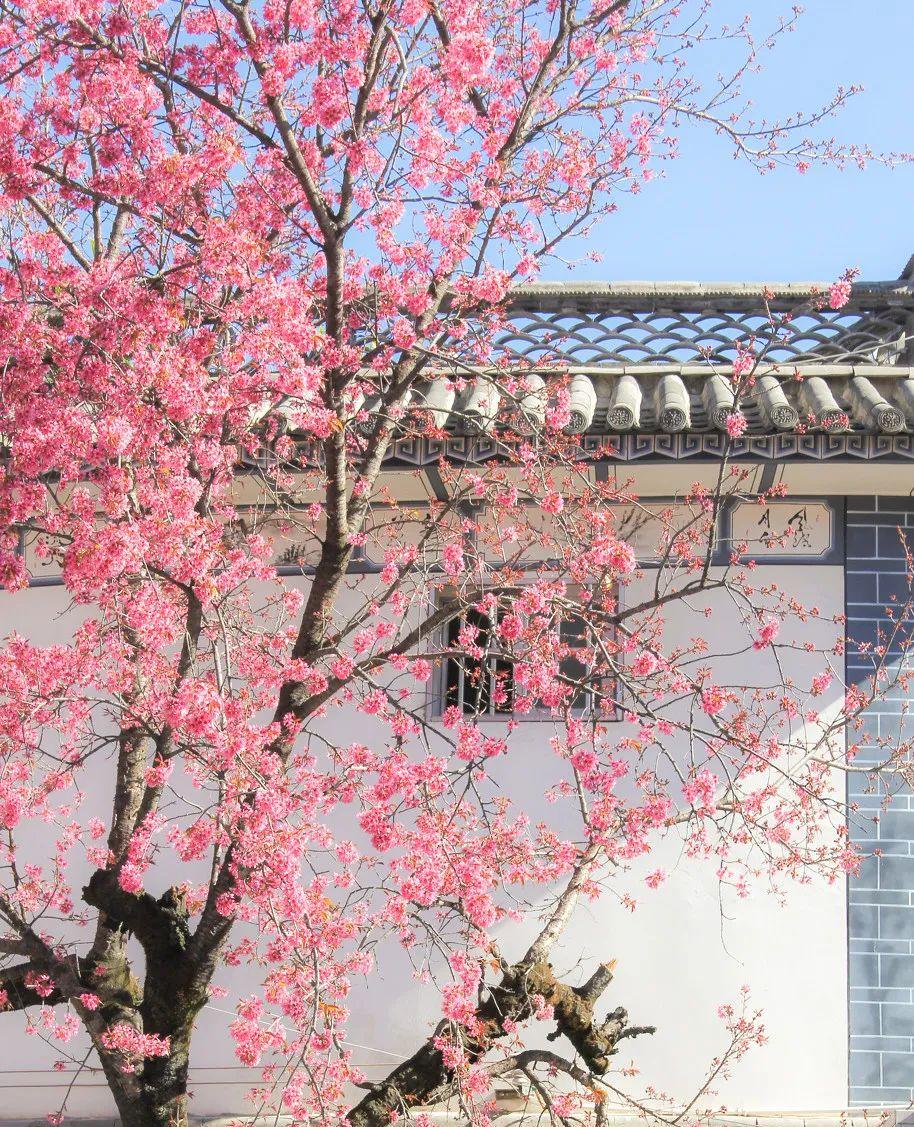 阜陽到唐山的火車_唐山到阜陽的火車_唐山到阜陽火車站