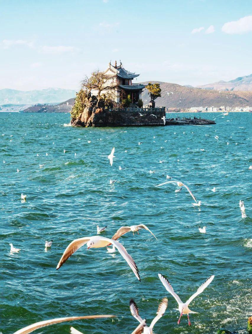 唐山到阜陽火車站_阜陽到唐山的火車_唐山到阜陽的火車