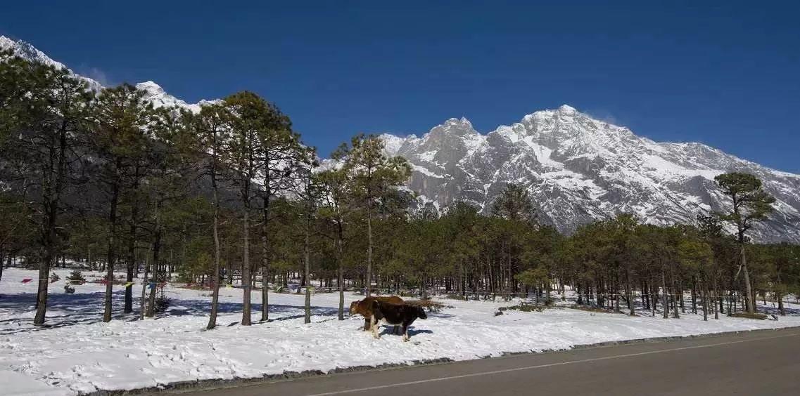 重慶-桂林自駕游_重慶自駕桂林沿途景區(qū)_重慶桂林自駕