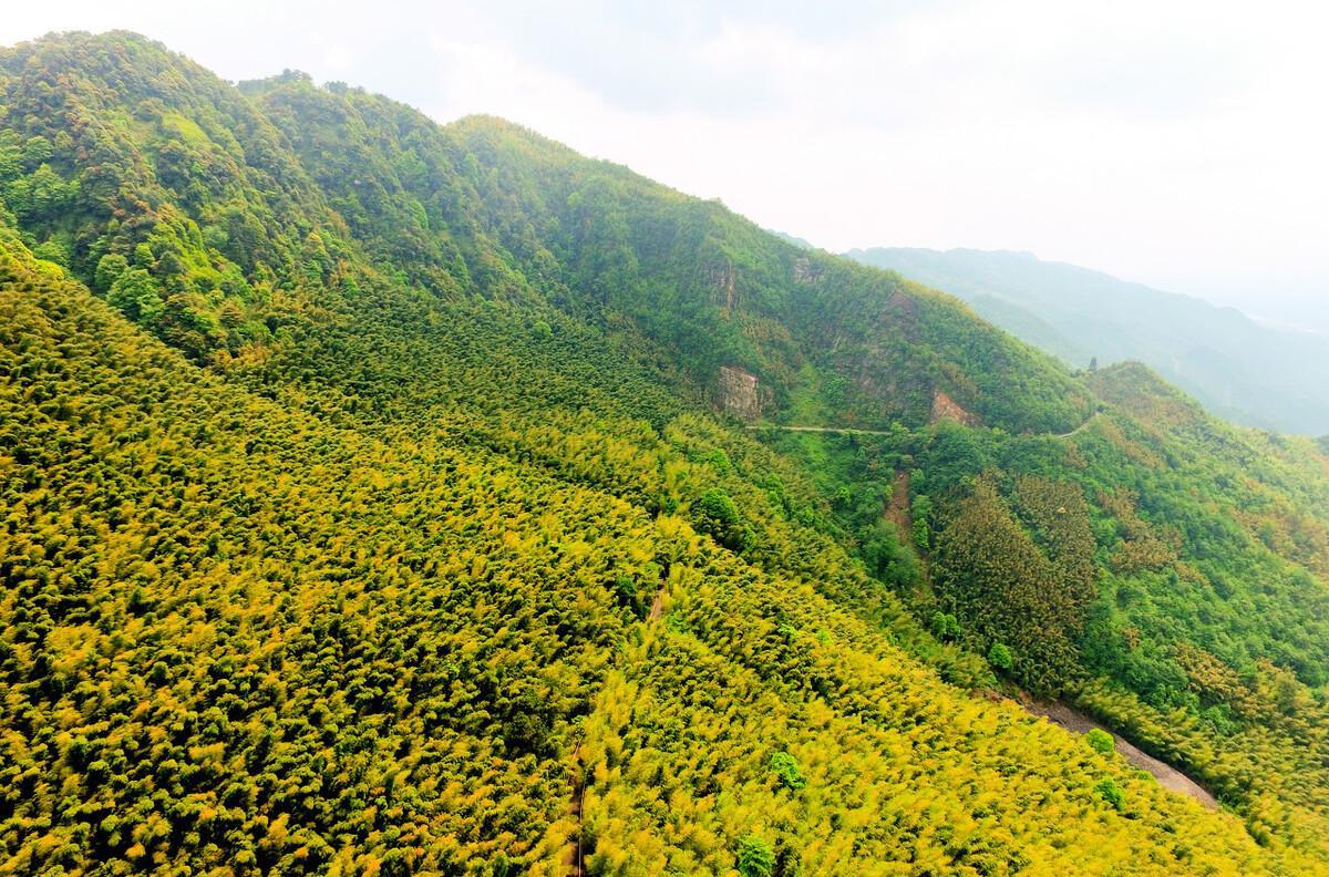 從鄭州到重慶自駕游_鄭州自駕重慶攻略_鄭州到重慶自駕沿途景點