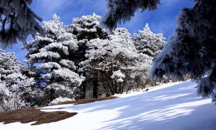 鄭州到重慶自駕沿途景點_鄭州自駕重慶攻略_從鄭州到重慶自駕游