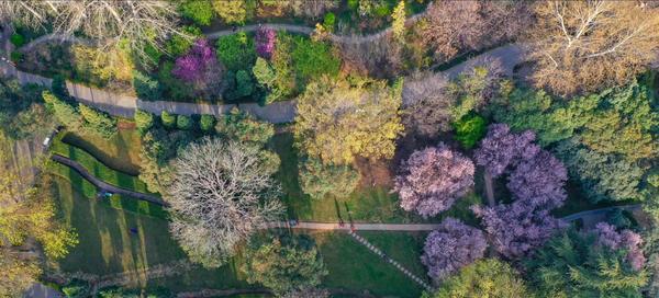 鄭州自駕重慶攻略_重慶自駕鄭州經過的城市_從鄭州到重慶自駕游