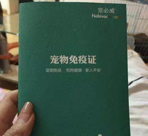 火車能帶狗狗_坐火車可以帶狗嗎_坐火車帶狗可以嗎