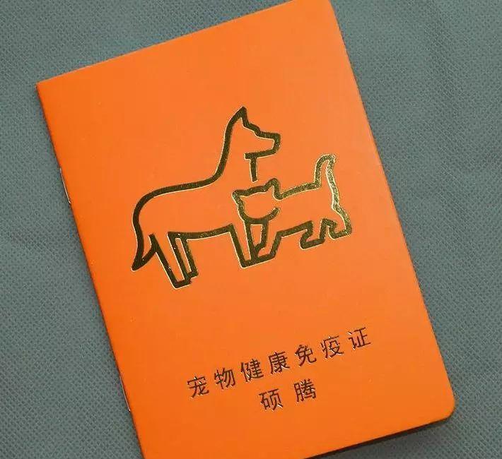 火車能帶狗狗_坐火車帶狗可以嗎_坐火車可以帶狗嗎