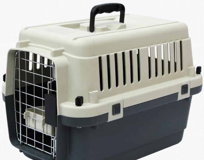 火車能帶狗狗_坐火車可以帶狗嗎_坐火車帶狗可以嗎