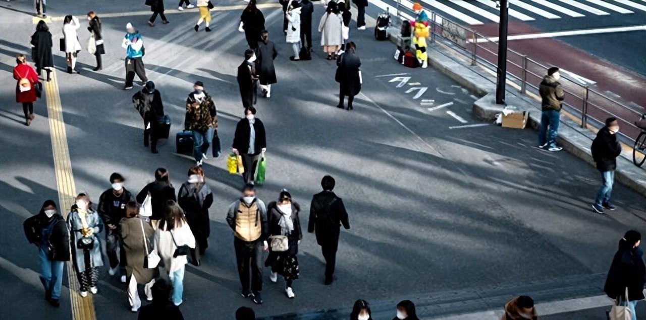 2024 年春節鐵路運送四億八千萬人，高鐵動車成團圓主力軍，你了解它們的區別嗎？