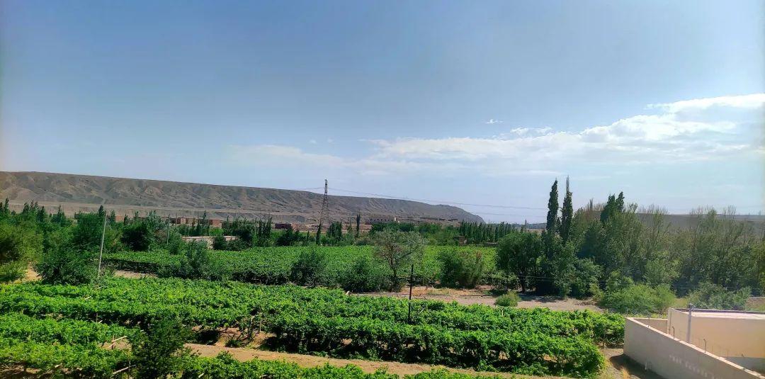 烏魯木齊到火車票_烏魯木齊到內地火車_到新疆烏魯木齊的火車
