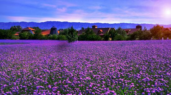 義縣大石湖風(fēng)景旅游區(qū)電話_錦州義縣大石湖好玩嗎_義縣大石湖風(fēng)景旅游區(qū)