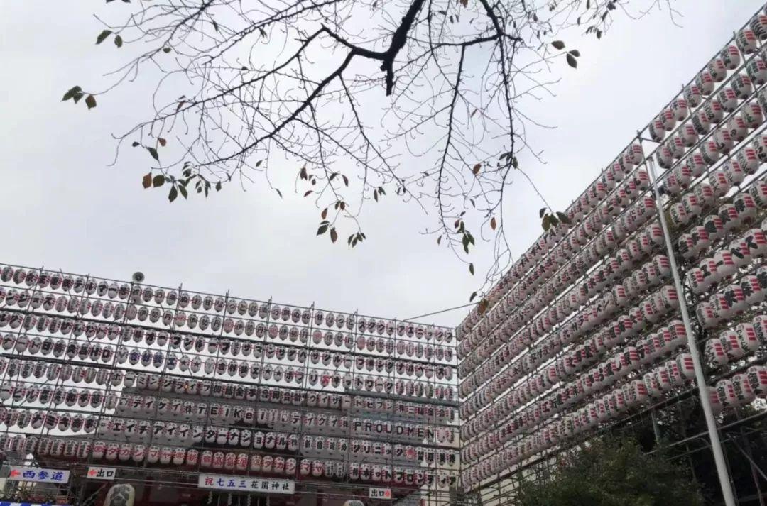 西安當地旅游團_西安旅游安排_旅游西安旅游攻略