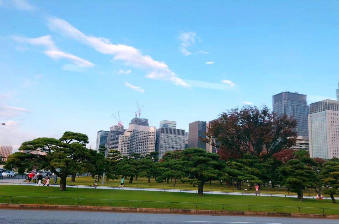 西安旅游安排_西安當地旅游團_旅游西安旅游攻略