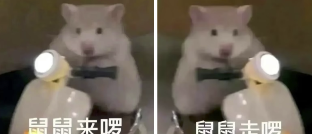 大學生旅游網_大學生旅游官方數據_大學生旅游網站