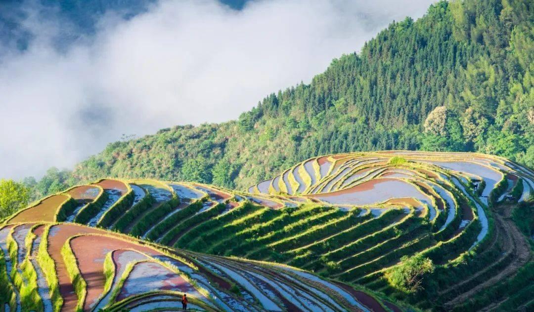 桂林的酒店推薦_桂林酒店旅游推薦一下_桂林旅游酒店推薦