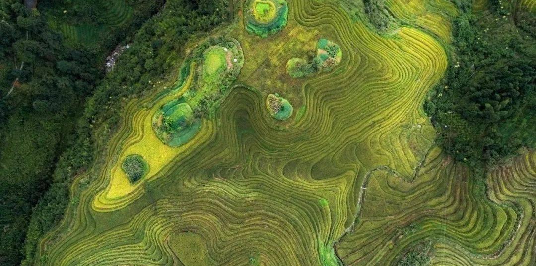 桂林酒店旅游推薦一下_桂林旅游酒店推薦_桂林的酒店推薦