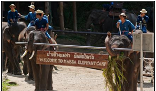 自駕泰國游要簽證嗎_自駕游泰國要多久_自駕游去泰國