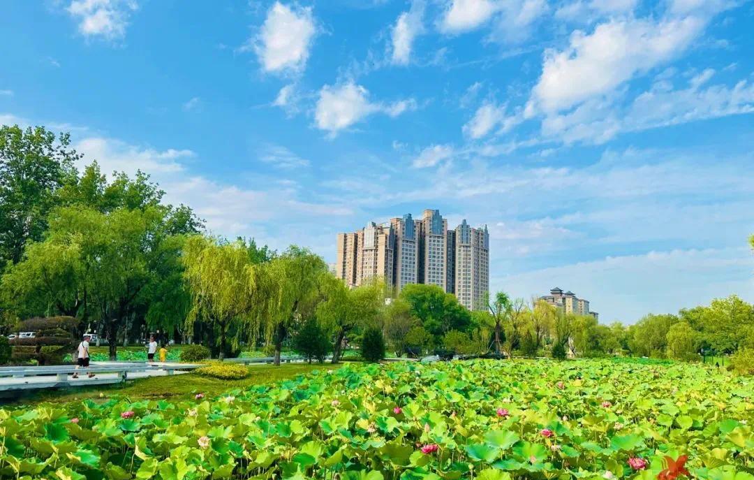 淇縣旅游宣傳片_淇縣旅游景區_淇縣旅游