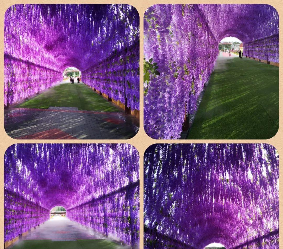 乘坐火車能否攜帶菜刀？鐵路安全法規(guī)有明確規(guī)定