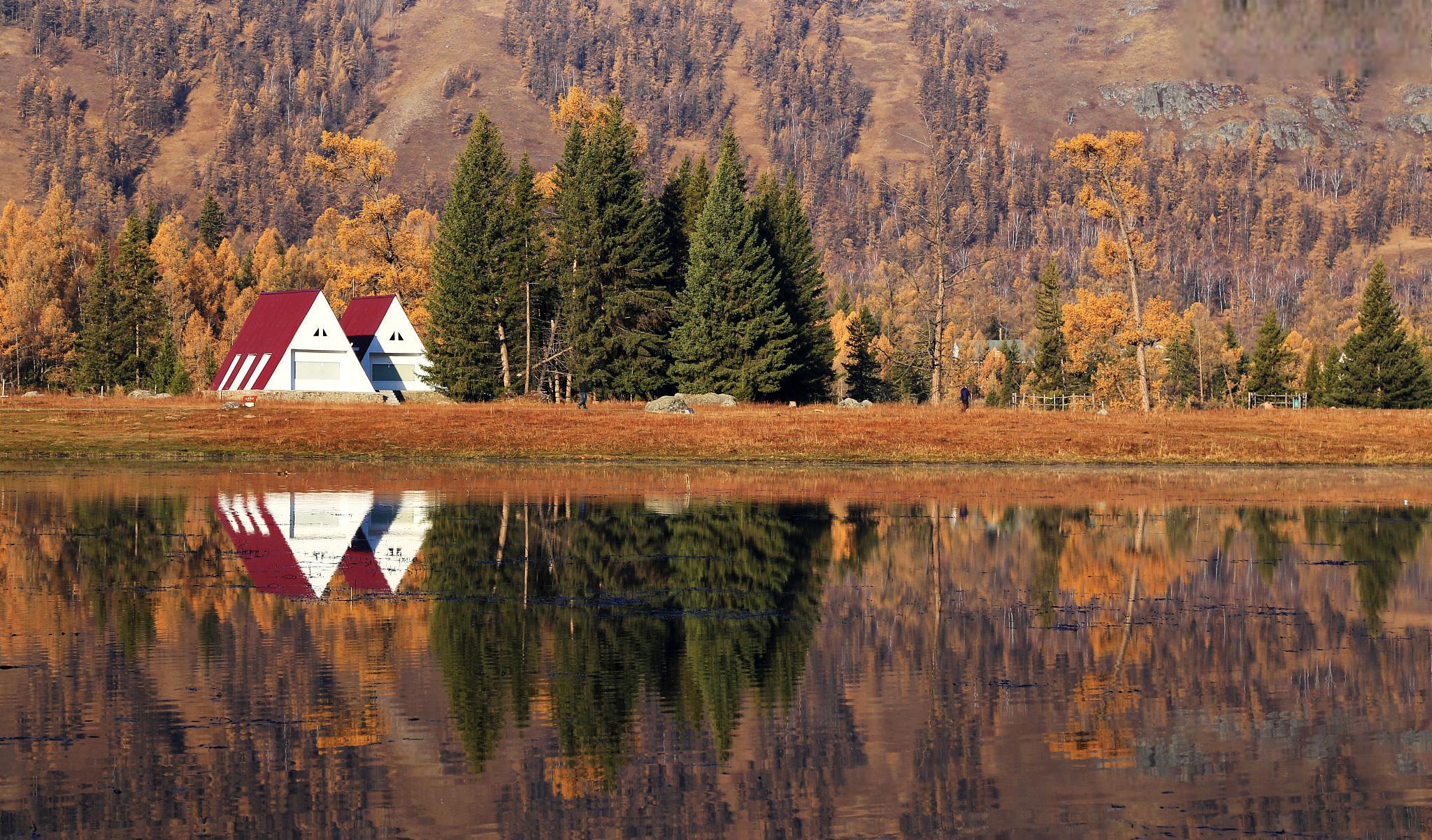 長興島寧靜之旅：從靜謐到繁華，心靈與都市的交融