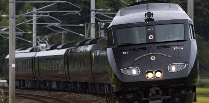 濰坊至南陽列車之旅：與綠海交織的心靈歷險