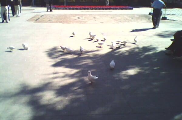 哈爾濱至莫斯科火車_哈爾濱到莫斯科火車多長(zhǎng)時(shí)間_哈爾濱到莫斯科的火車