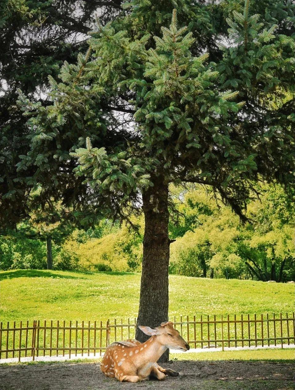 哈爾濱至莫斯科火車票_哈爾濱至莫斯科火車_哈爾濱到莫斯科的火車