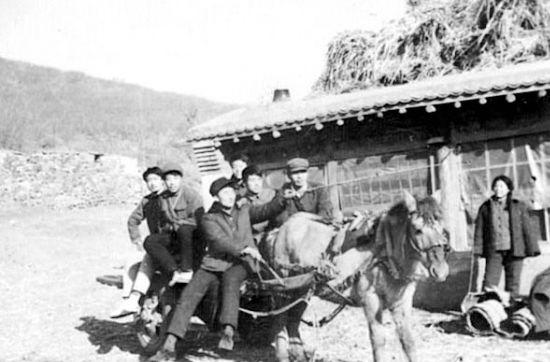 春節團圓：知青時代的回家路與溫暖記憶