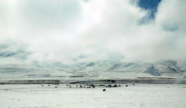 西寧到拉薩火車路線_拉薩到西寧火車查詢_拉薩到西寧火車時刻