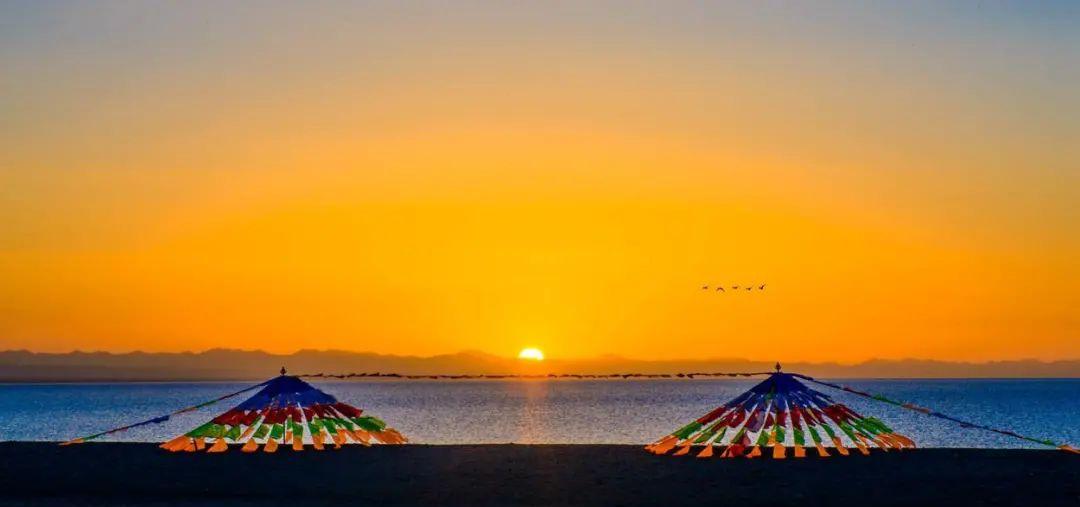 西寧到拉薩火車路線_拉薩火車西寧路線到哪個站_拉薩到西寧火車查詢