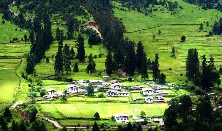 西寧到拉薩火車路線_拉薩火車西寧路線到哪個站_拉薩到西寧火車查詢