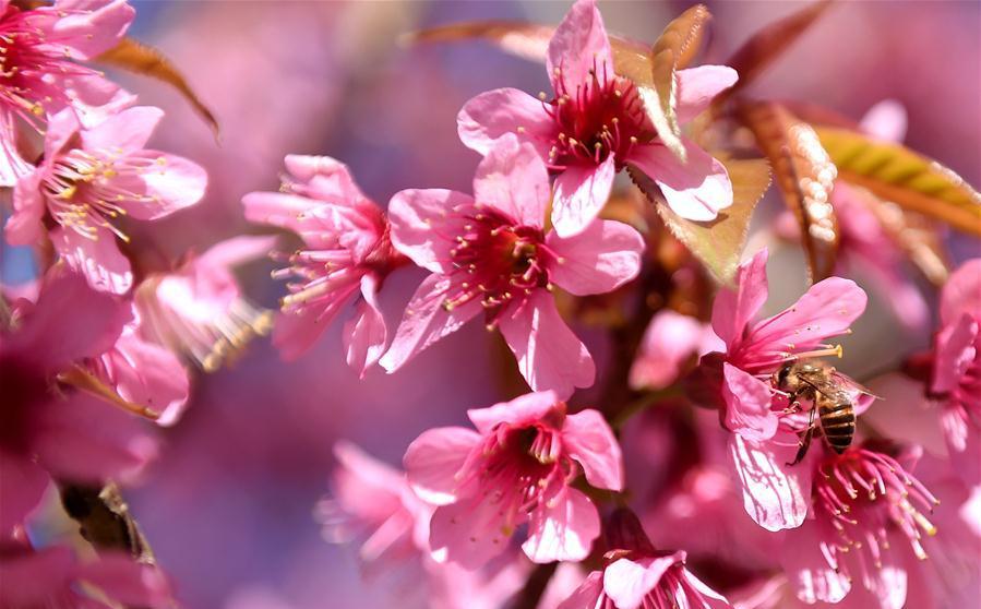 驅(qū)恐怖陰霾 還春城明媚——云南處置昆明火車站暴恐事件記