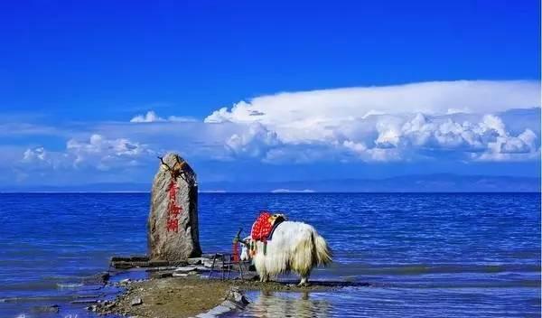 西寧到拉薩火車路線_拉薩到西寧火車查詢_拉薩到西寧火車時刻