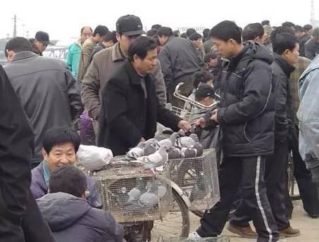 青島到新鄉(xiāng)火車票_青島到新鄉(xiāng)普通火車票價_新鄉(xiāng)到青島的火車